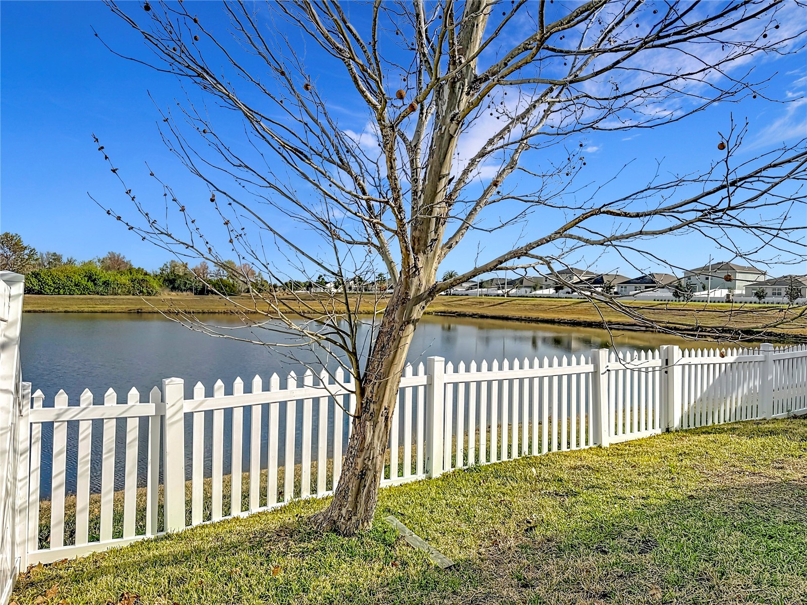 11874 Brighton Knoll Loop Riverview FL 33579 TB8481448 image30