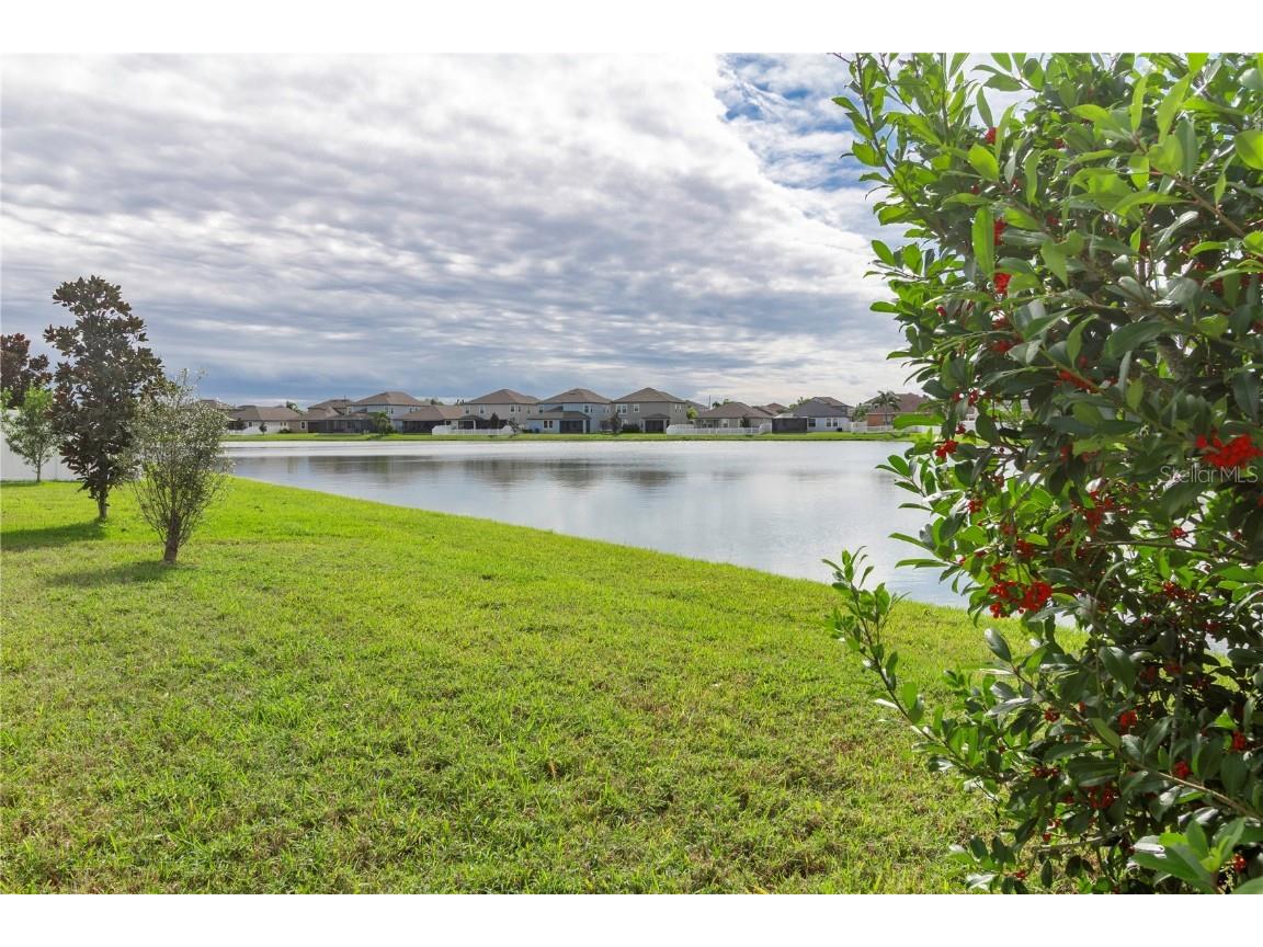 11874 Sunburst Marble Road Riverview FL 33579 TB8455562 image42