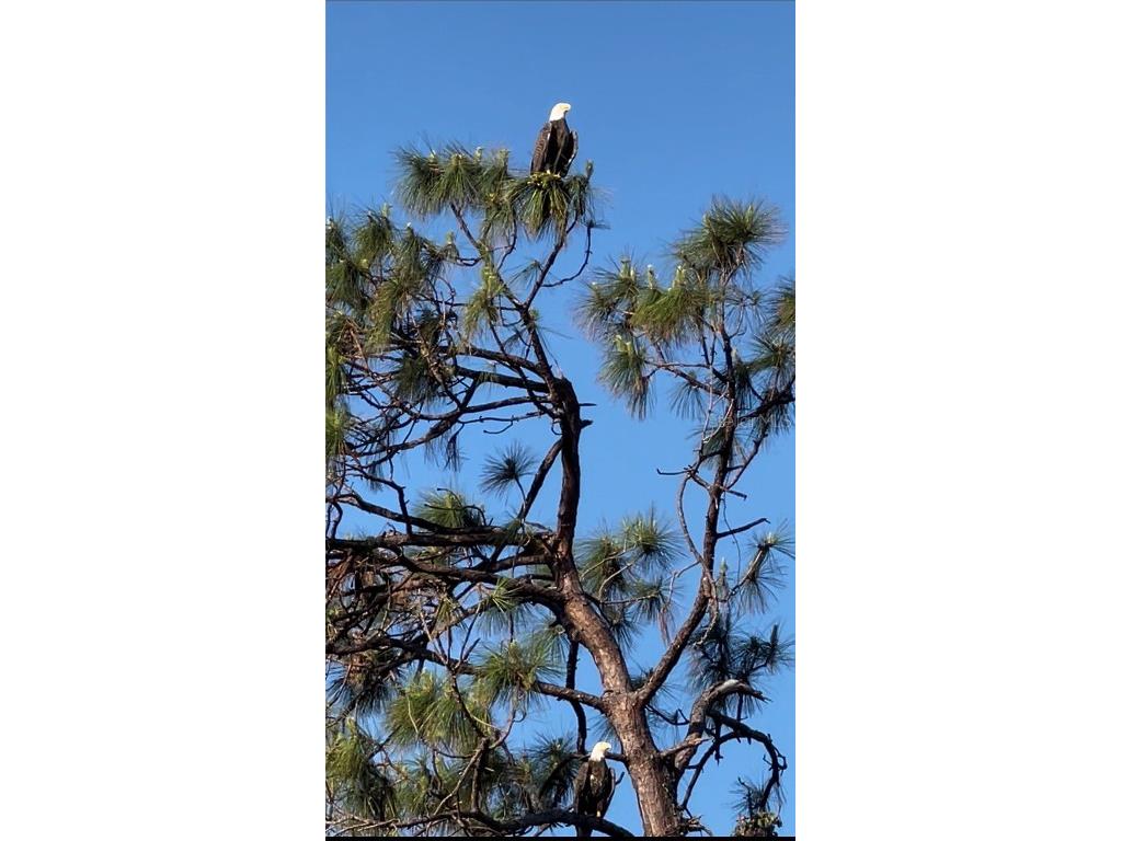 11877 Van Loon Avenue Port Charlotte FL 33981 C7516383 image2