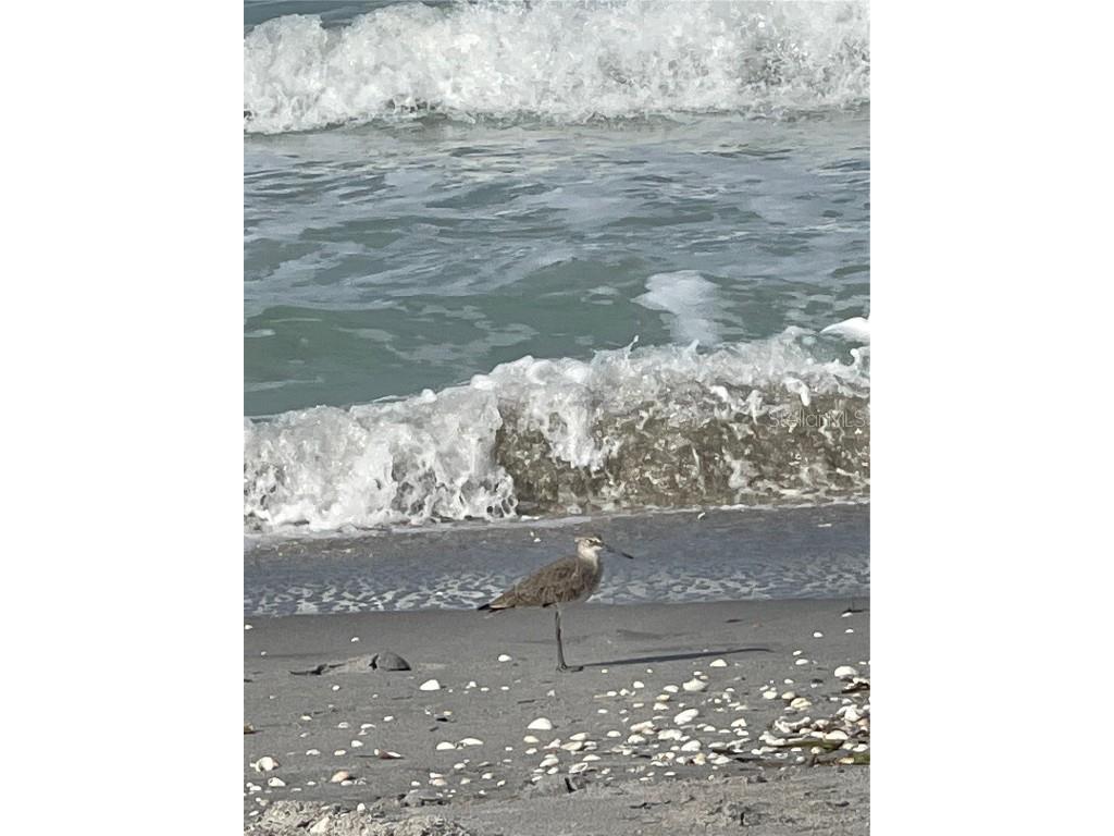 11877 Van Loon Avenue Port Charlotte FL 33981 C7516383 image7