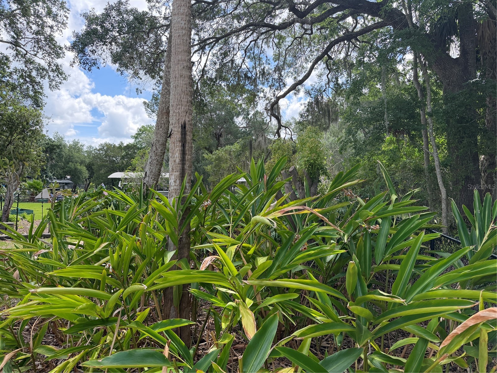 11878 W Riverhaven Drive Homosassa FL 34448 W7886007 image12