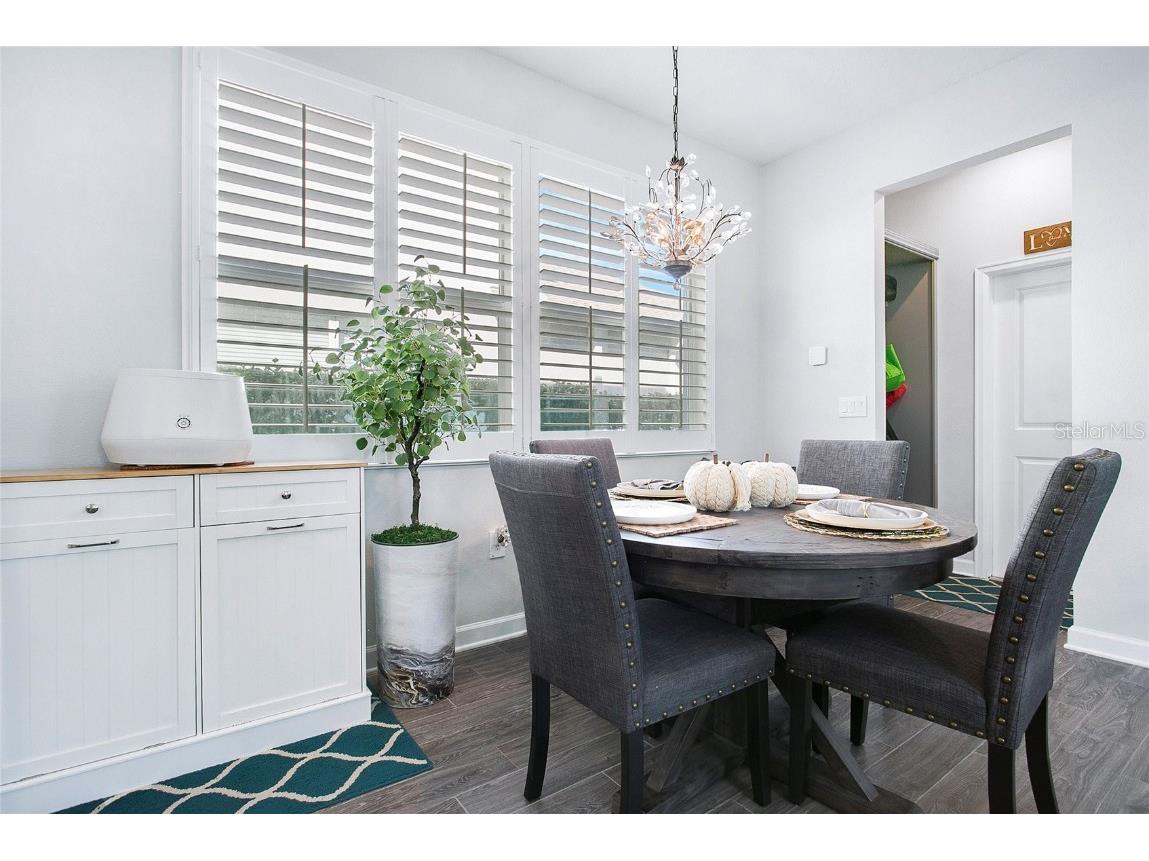 11879 Fiction Avenue Orlando FL 32832 O6361281 image4