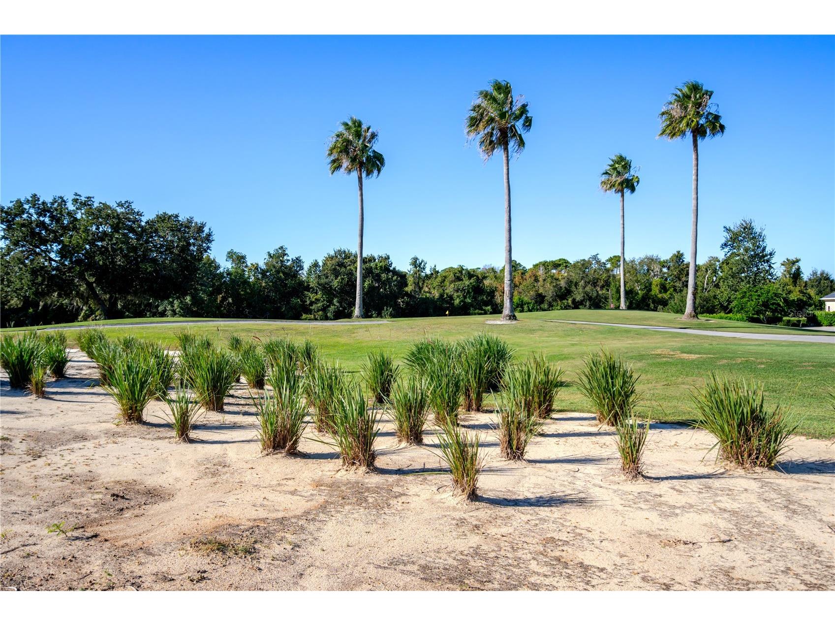 1188 Castle Pines Court Reunion FL 34747 S5148949 image22