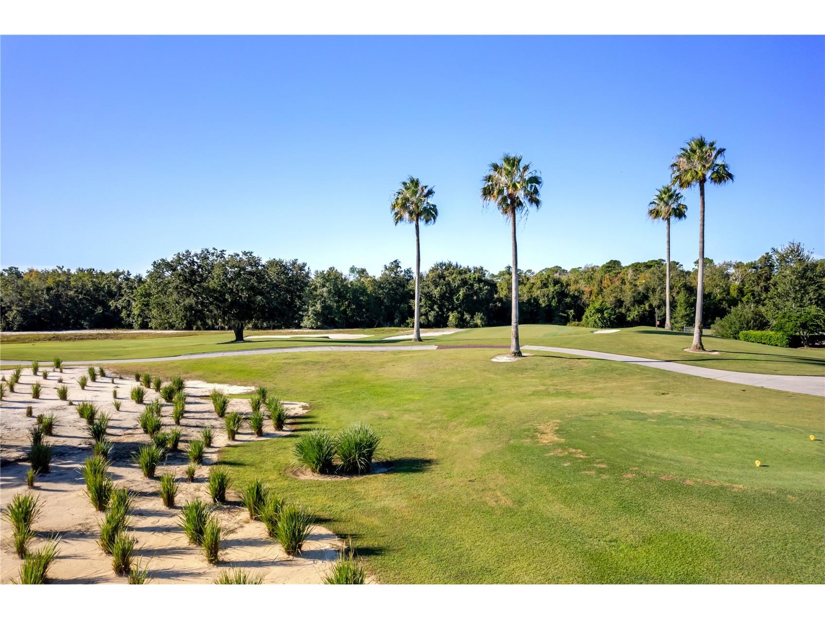 1188 Castle Pines Court Reunion FL 34747 S5148949 image23
