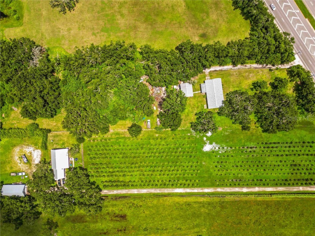 11880 Us Highway 301 N Parrish FL 34219 A4662323 image10