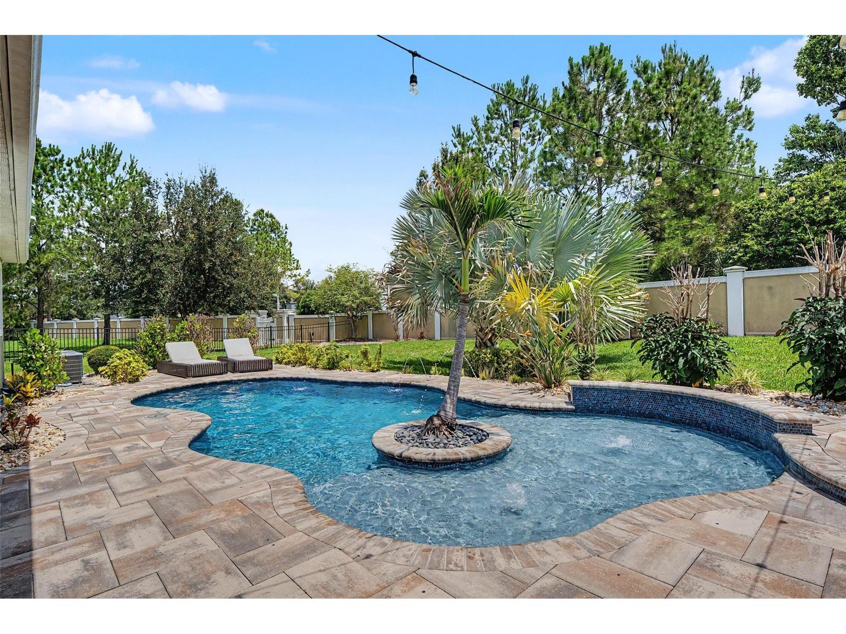 11882 Frost Aster Drive Riverview FL 33579 TB8520319 image2