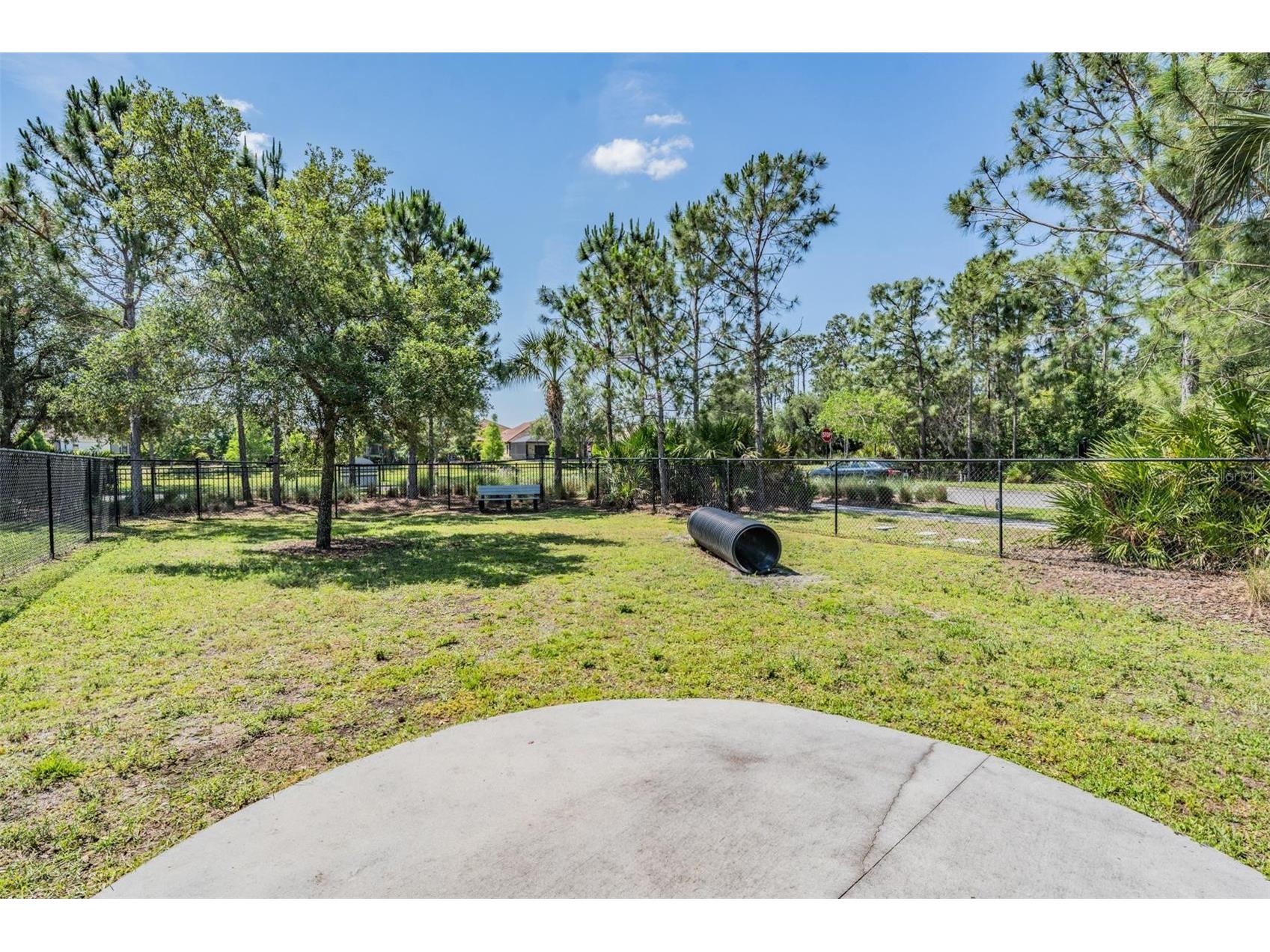 11882 Frost Aster Drive Riverview FL 33579 TB8520319 image53