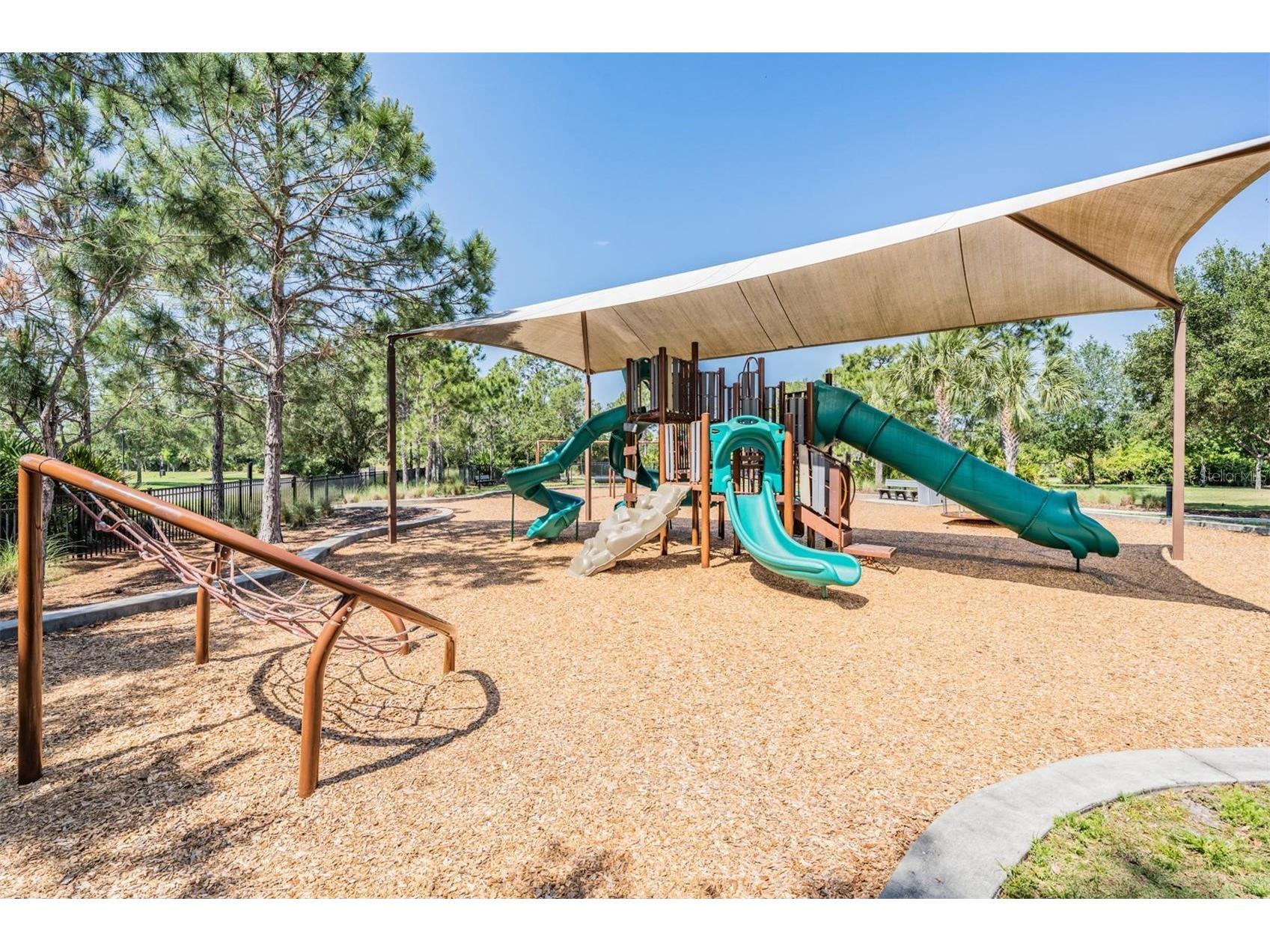11882 Frost Aster Drive Riverview FL 33579 TB8520319 image65