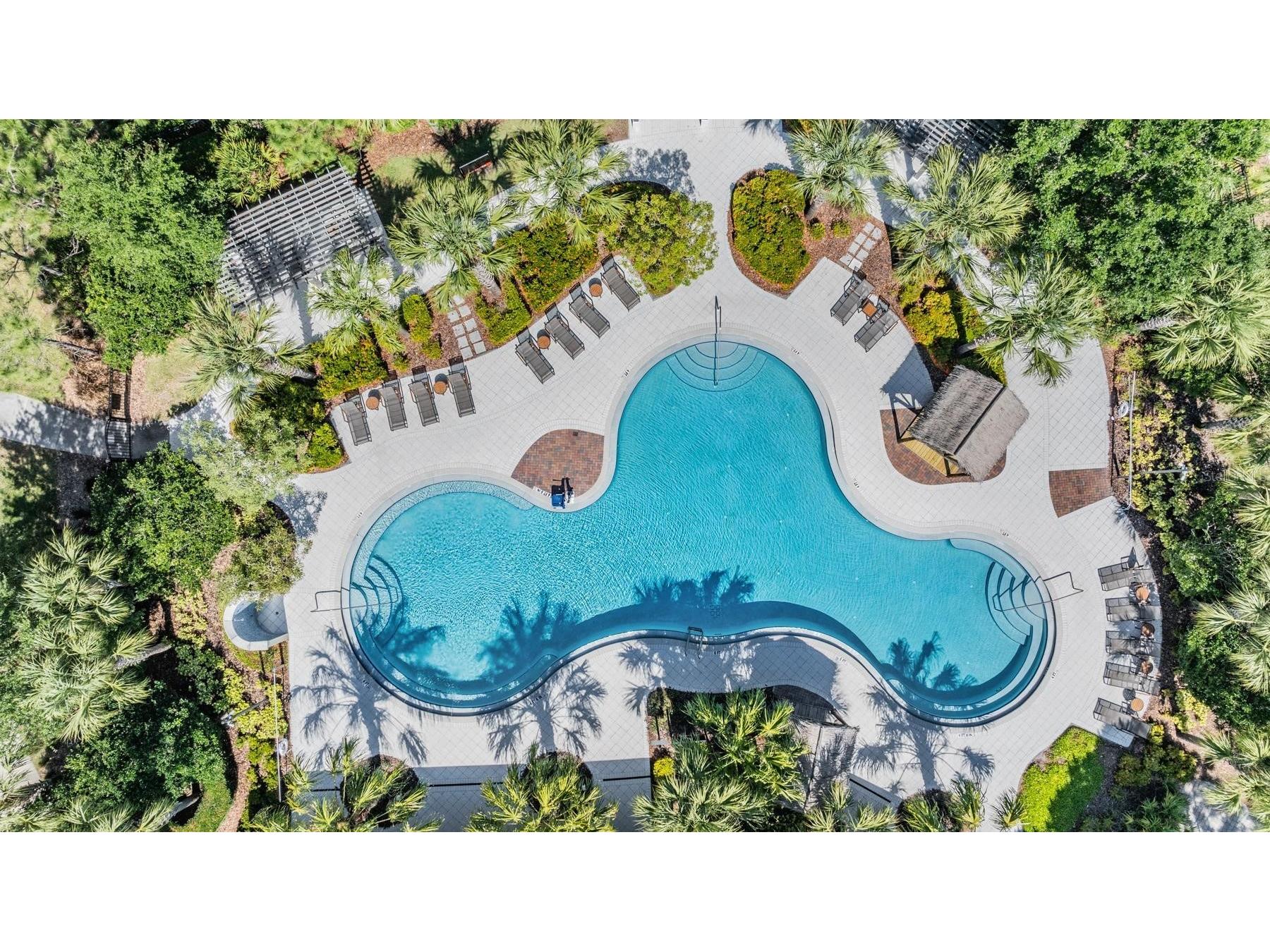 11882 Frost Aster Drive Riverview FL 33579 TB8520319 image70