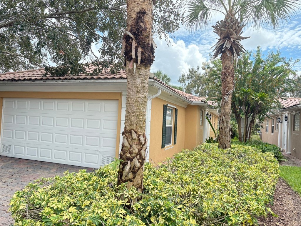 11885 Fan Tail Lane Orlando FL 32827 S5134567 image1