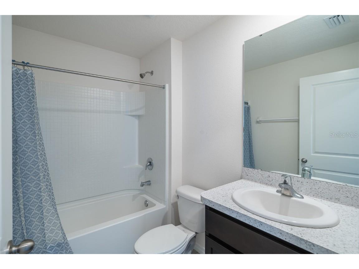 11889 Downy Birch Drive Riverview FL 33569 TB8448899 image18