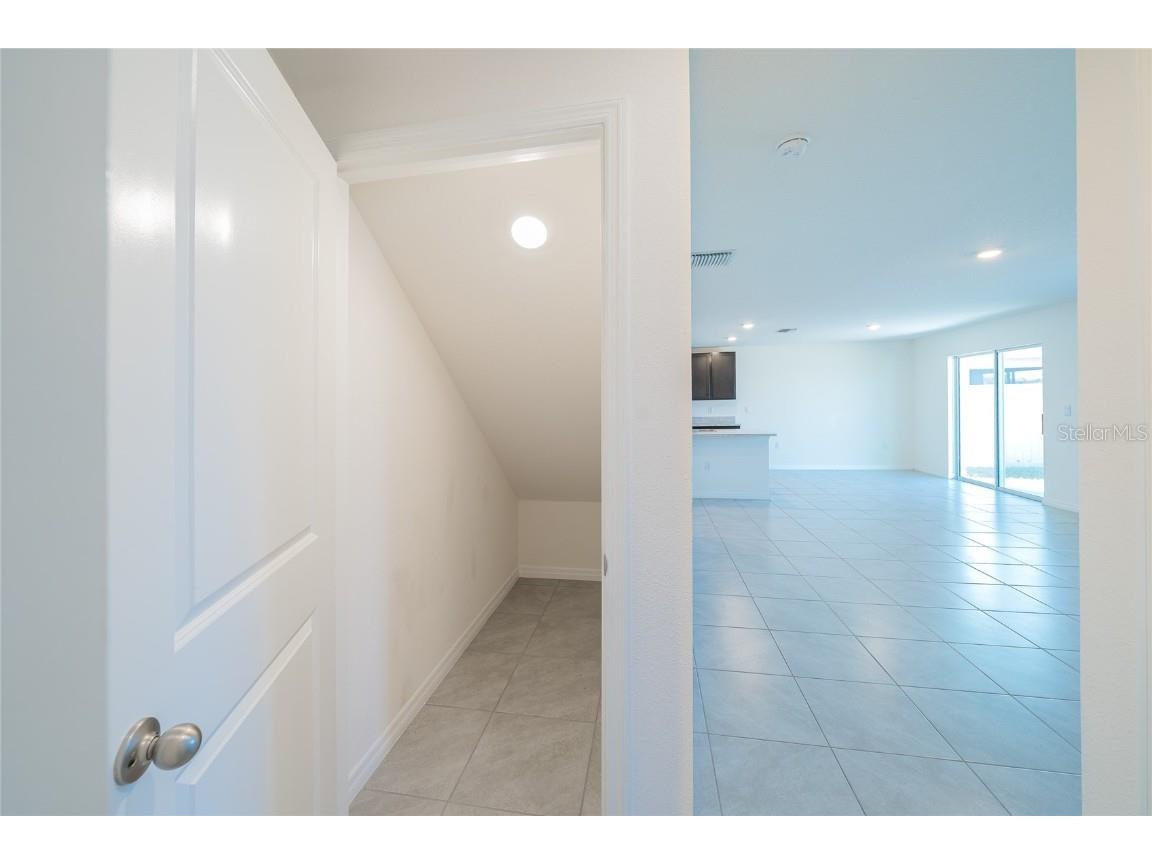 11889 Downy Birch Drive Riverview FL 33569 TB8448899 image19