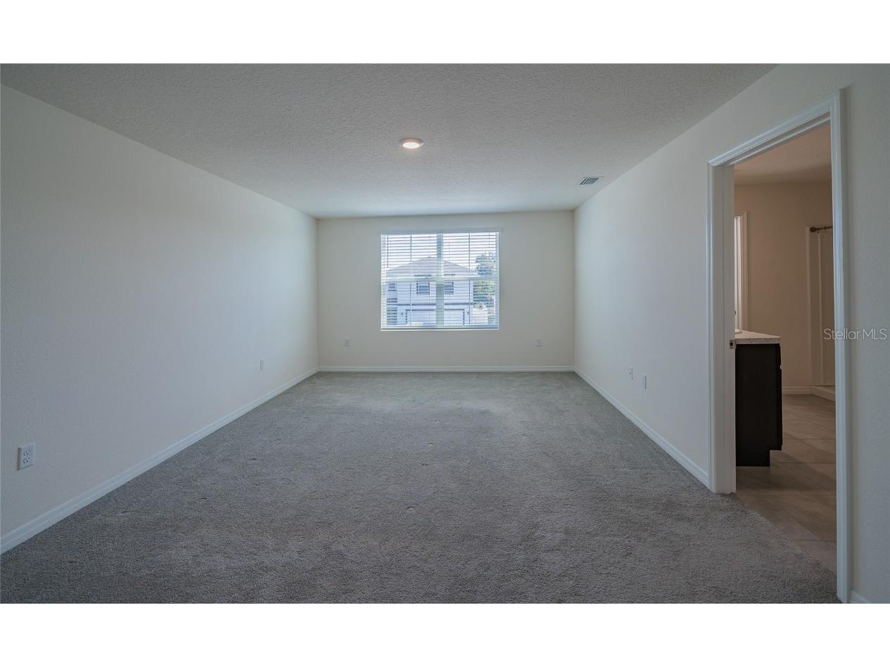 11889 Downy Birch Drive Riverview FL 33569 TB8448899 image22