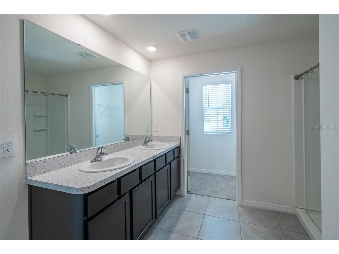 11889 Downy Birch Drive Riverview FL 33569 TB8448899 image23