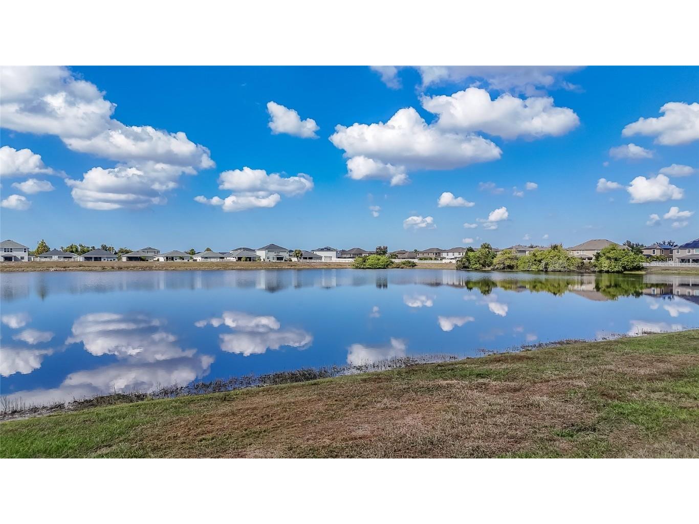 11889 Downy Birch Drive Riverview FL 33569 TB8448899 image30