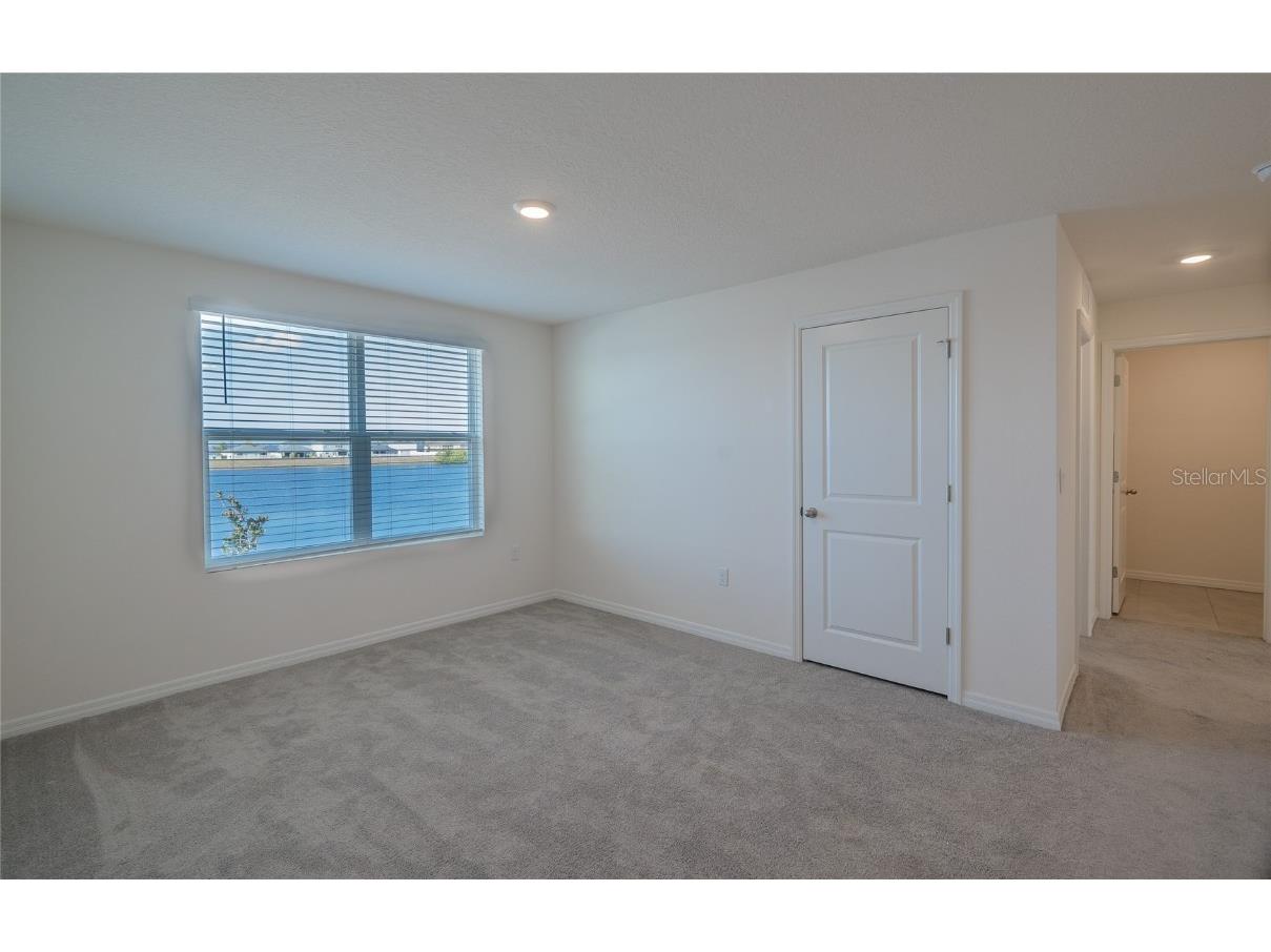 11889 Downy Birch Drive Riverview FL 33569 TB8448899 image32