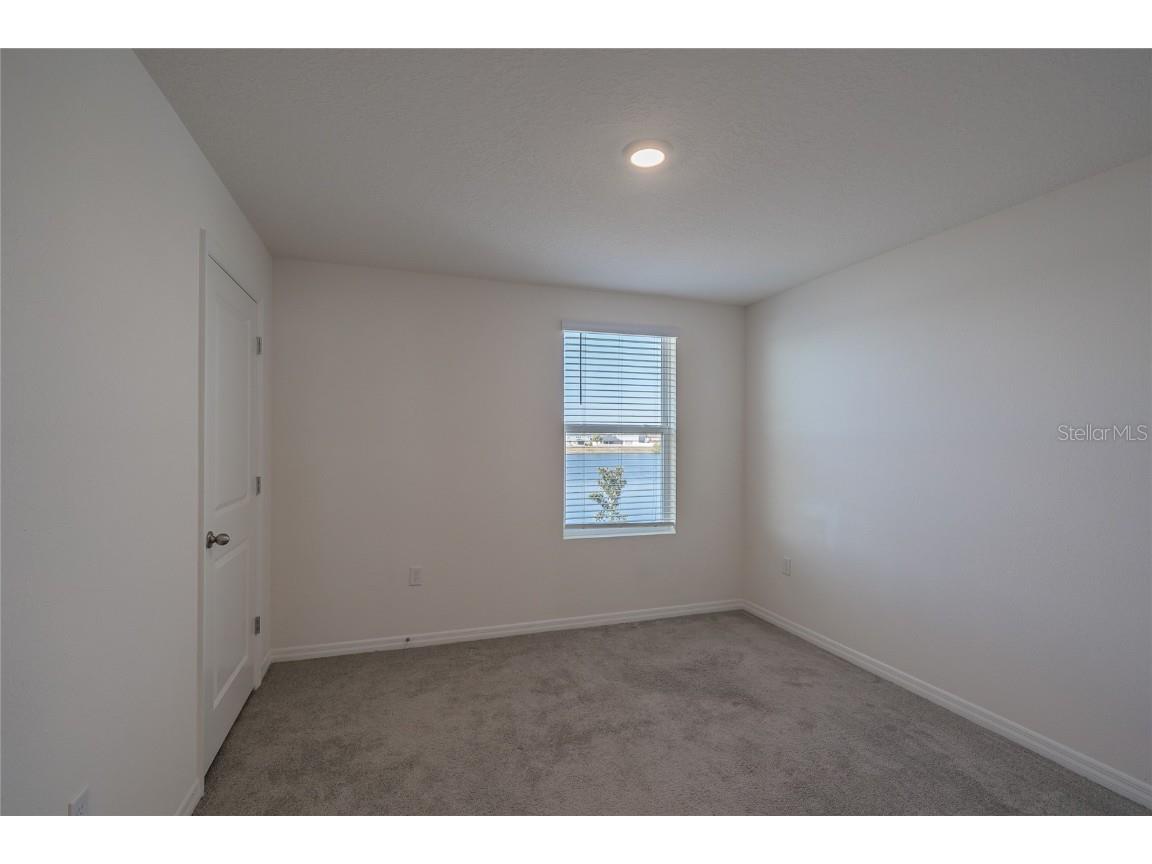 11889 Downy Birch Drive Riverview FL 33569 TB8448899 image33