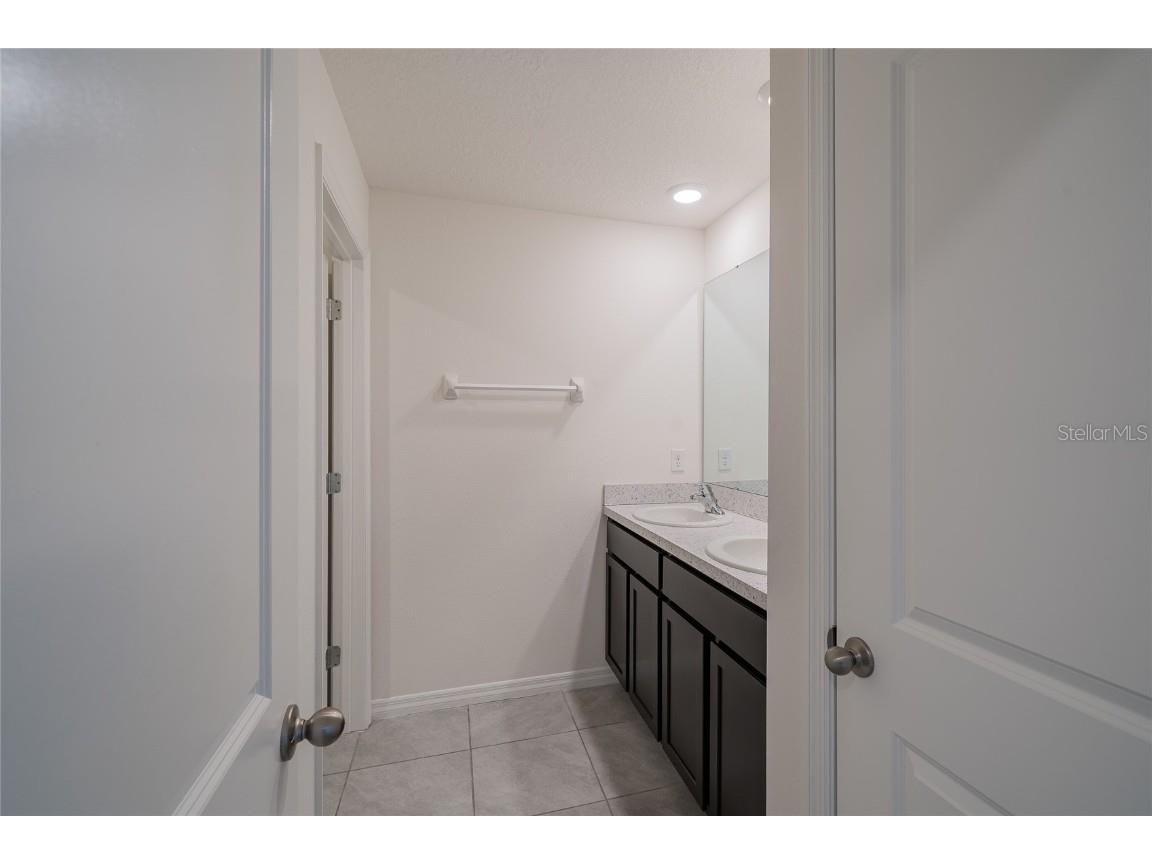 11889 Downy Birch Drive Riverview FL 33569 TB8448899 image34