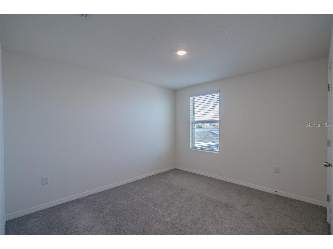 11889 Downy Birch Drive Riverview FL 33569 TB8448899 image36