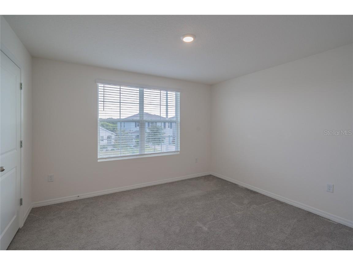 11889 Downy Birch Drive Riverview FL 33569 TB8448899 image37