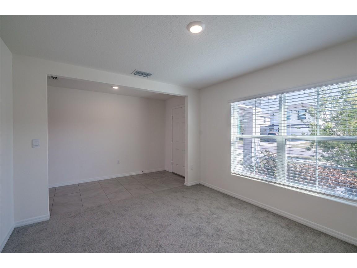 11889 Downy Birch Drive Riverview FL 33569 TB8448899 image38