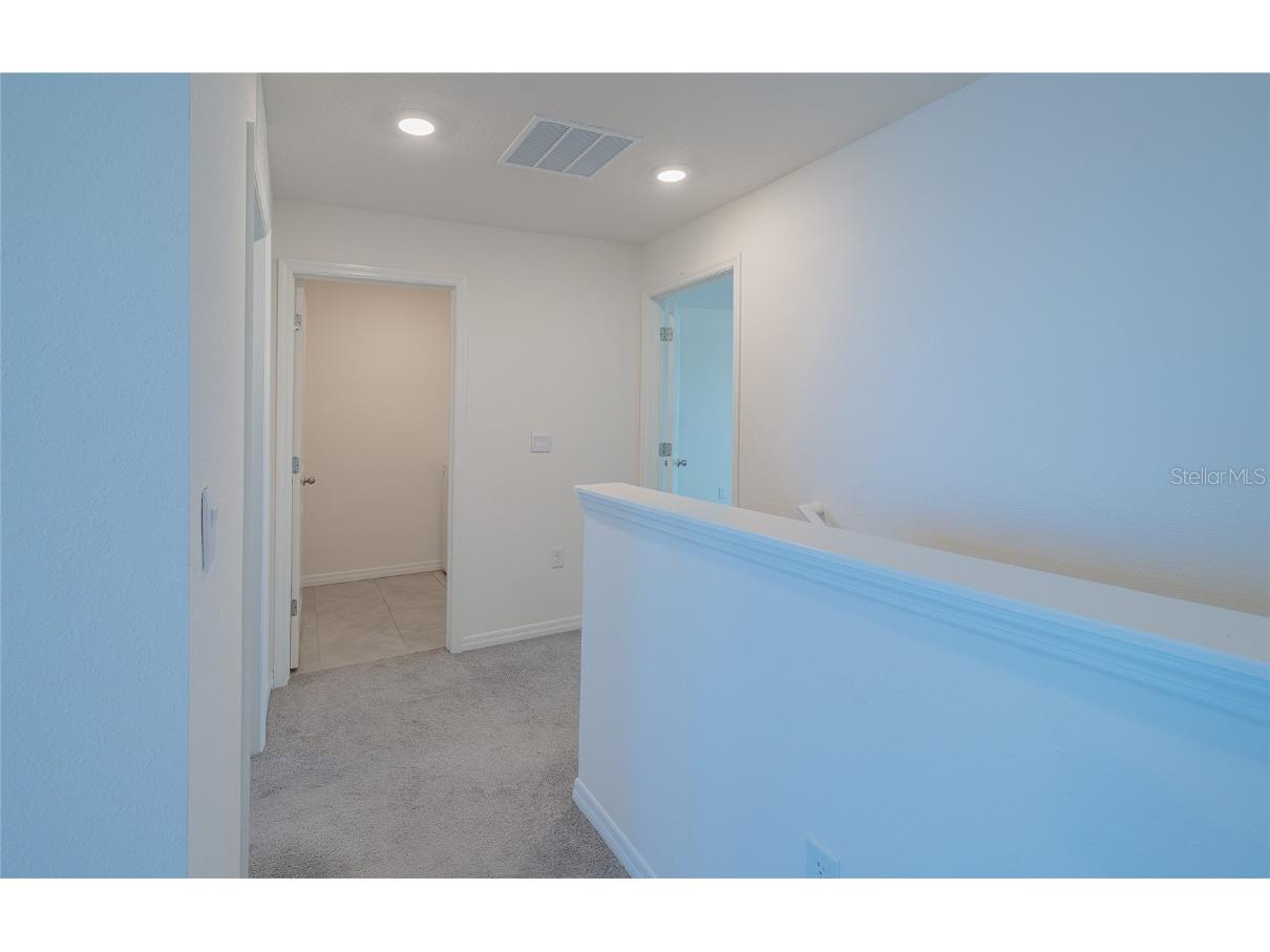 11889 Downy Birch Drive Riverview FL 33569 TB8448899 image43