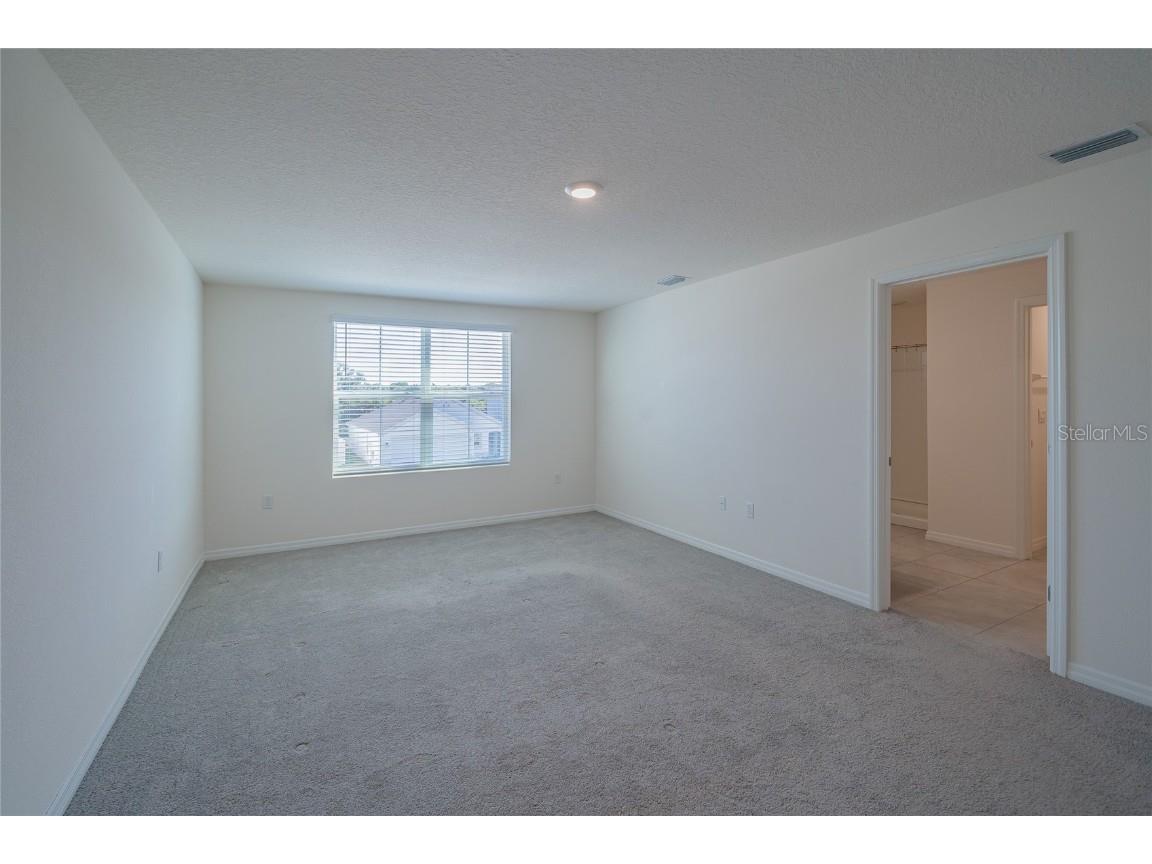 11889 Downy Birch Drive Riverview FL 33569 TB8448899 image45