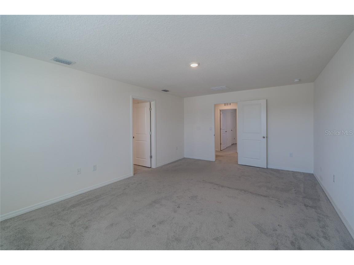 11889 Downy Birch Drive Riverview FL 33569 TB8448899 image46