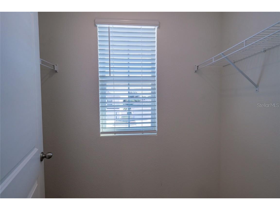 11889 Downy Birch Drive Riverview FL 33569 TB8448899 image47