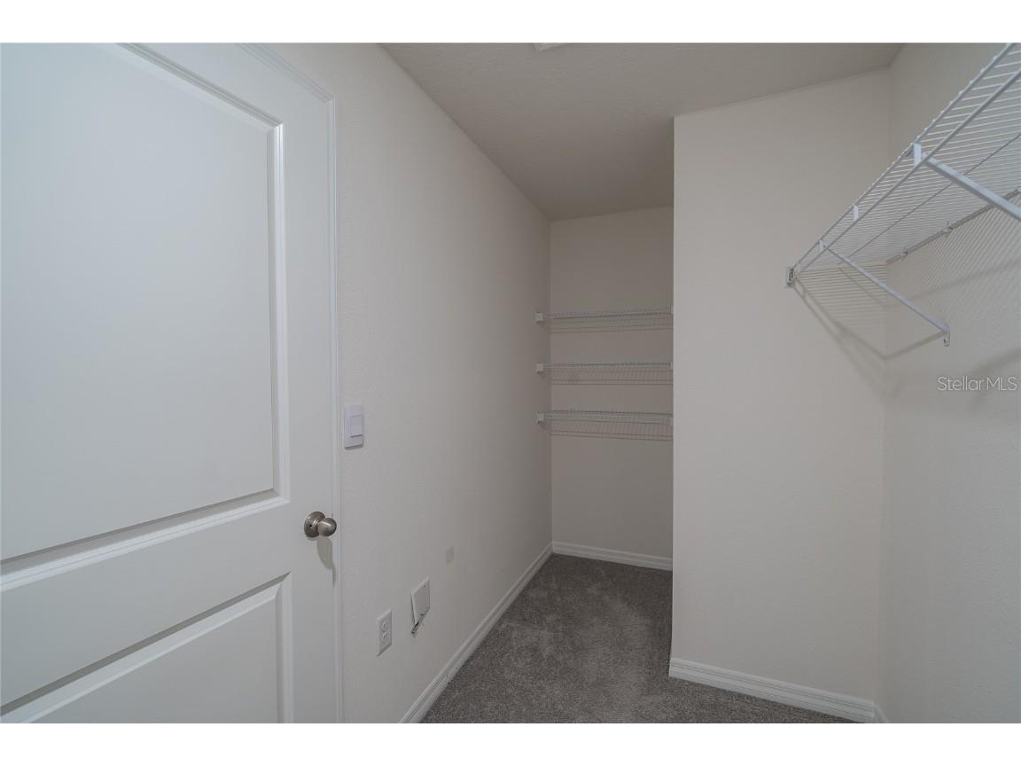 11889 Downy Birch Drive Riverview FL 33569 TB8448899 image48