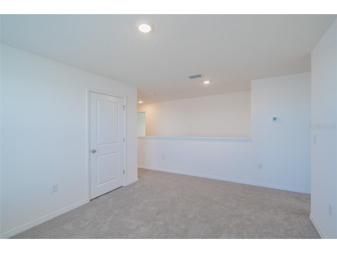 11889 Downy Birch Drive Riverview FL 33569 TB8448899 image49