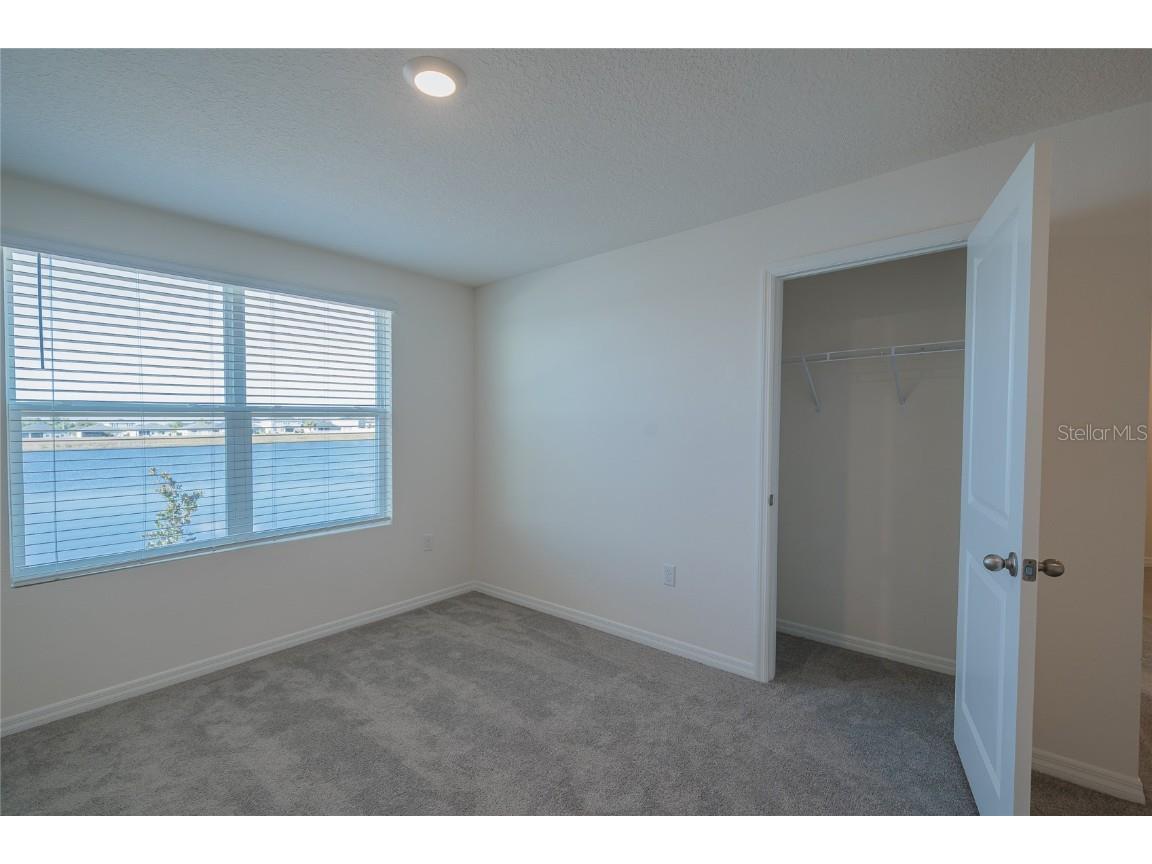 11889 Downy Birch Drive Riverview FL 33569 TB8448899 image50