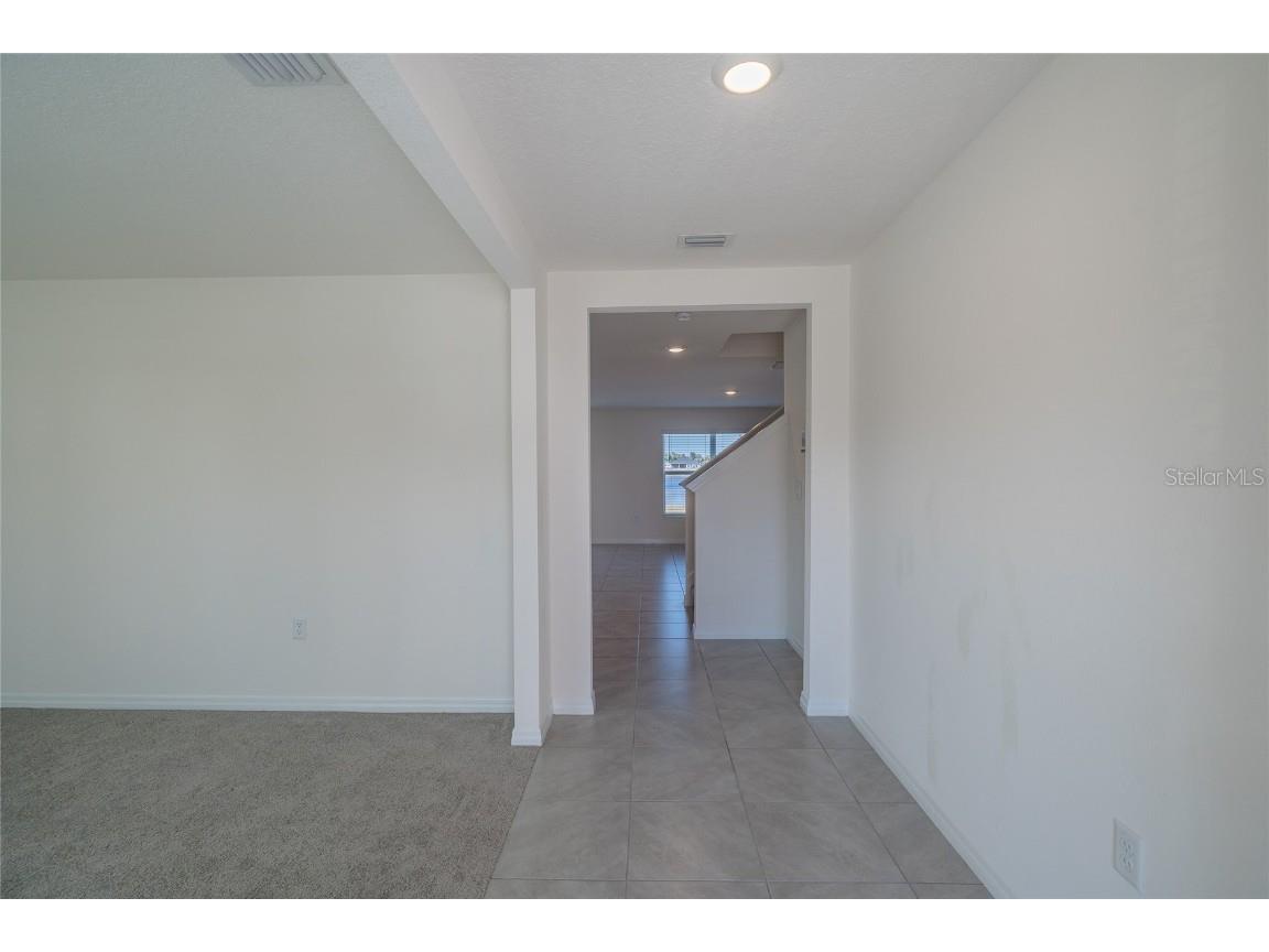 11889 Downy Birch Drive Riverview FL 33569 TB8448899 image8