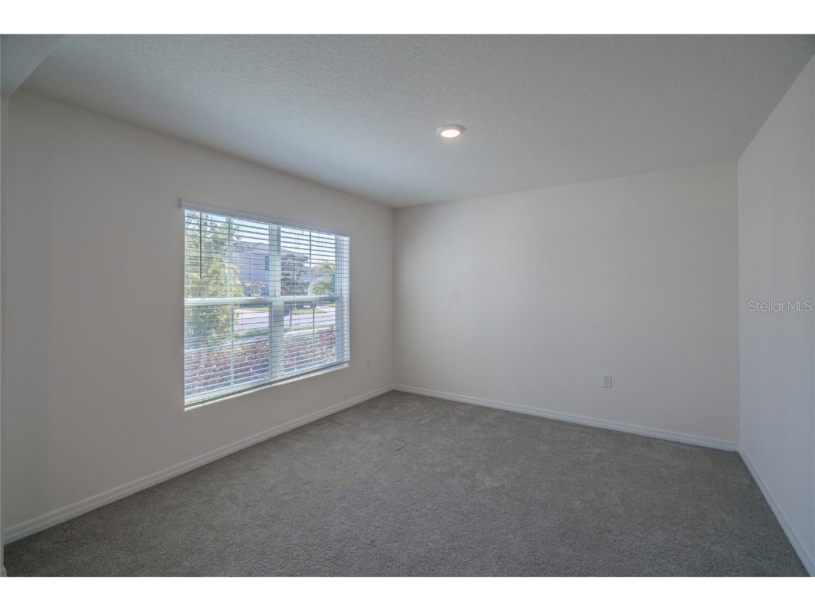 11889 Downy Birch Drive Riverview FL 33569 TB8448899 image9