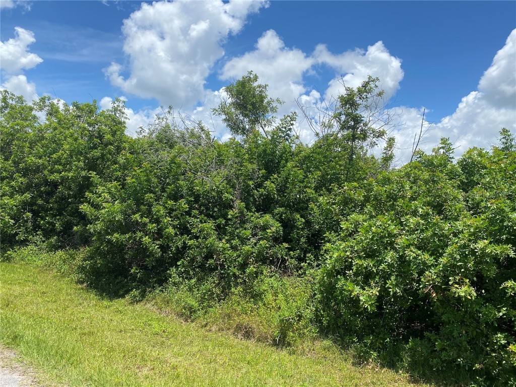 1189 March Drive Port Charlotte FL 33953 A4572262 image1