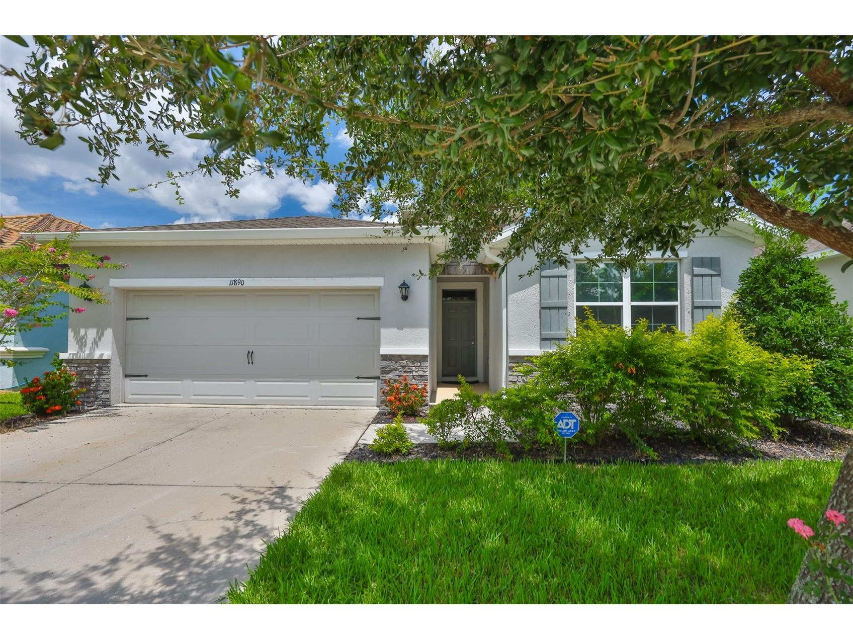 11890 Frost Aster Drive Riverview FL 33579 TB8418970 image1