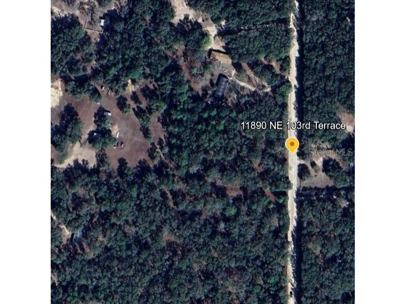 11890 NE 103rd Terrace Archer FL 32618 C7496423 image1