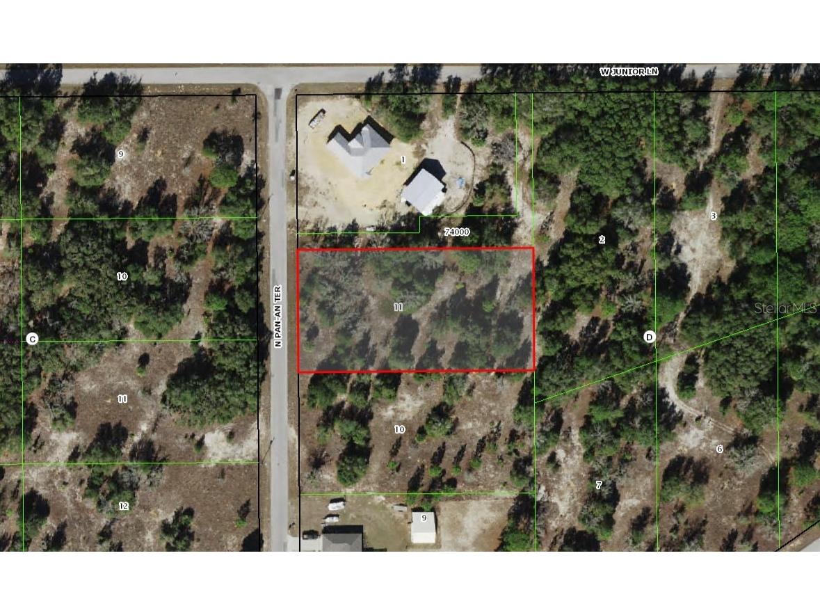 11893 N Pan An Terrace Dunnellon FL 34433 OM685252 image1