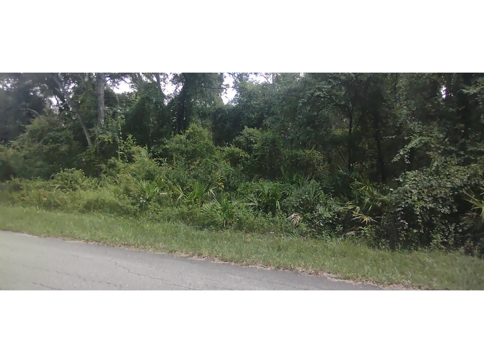 11895 Cr 682 Webster FL 33597 G5072358 image1