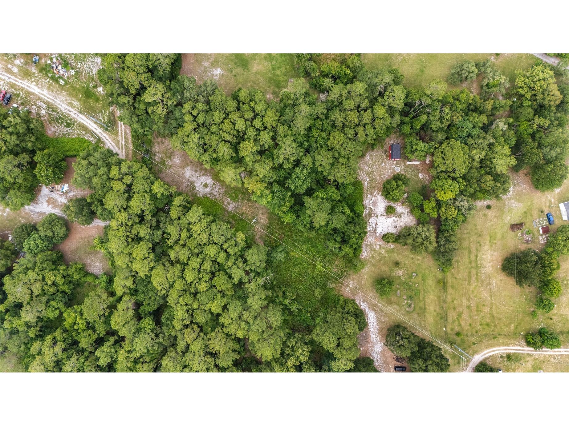 11895 SE 136th Court Ocklawaha FL 32179 OM726397 image31