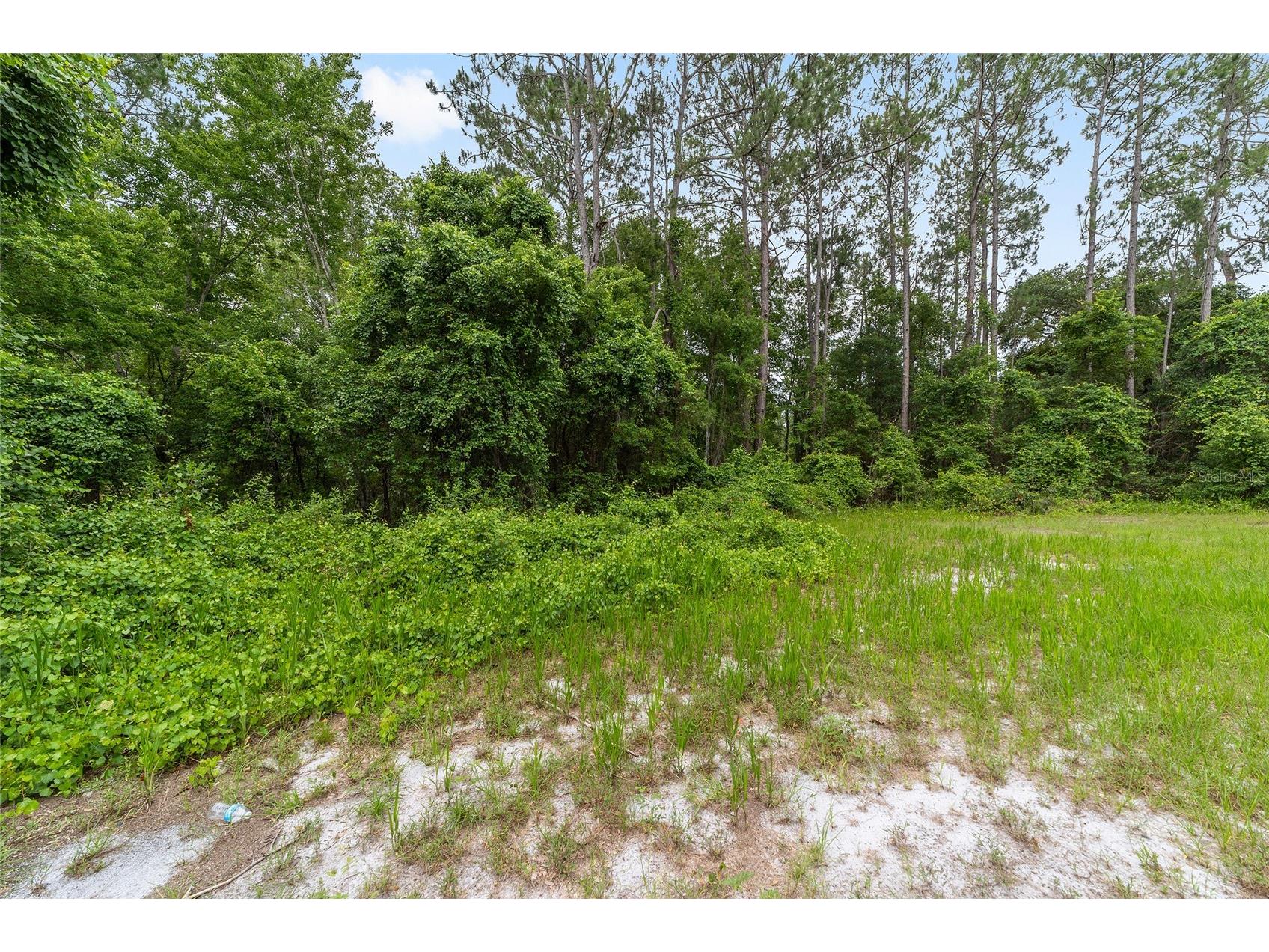 11895 SE 136th Court Ocklawaha FL 32179 OM726397 image5