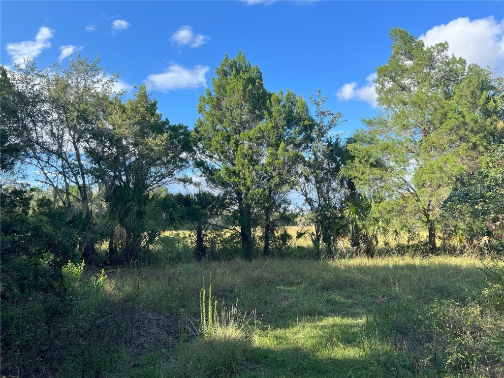 11895 W Timberlane Drive Homosassa FL 34448 G5073783 image1