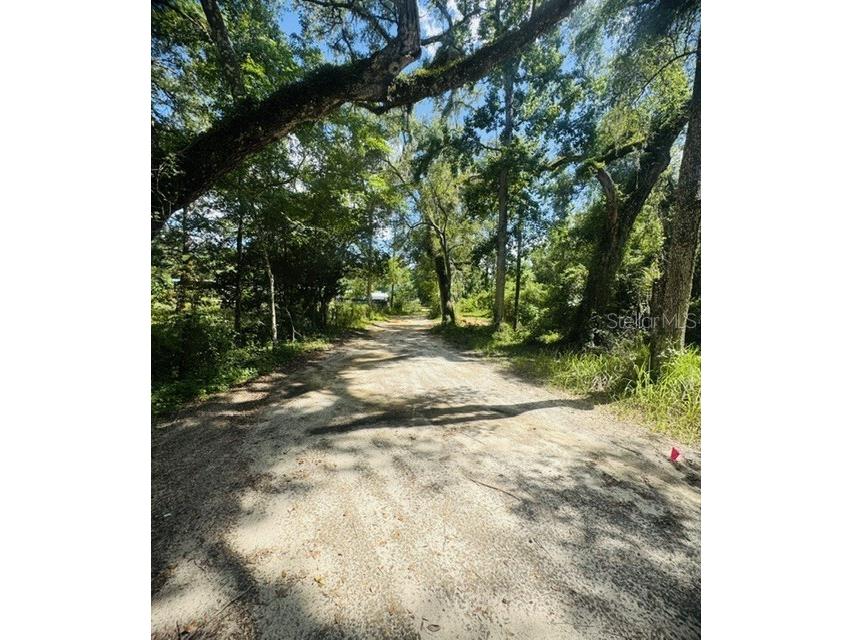 11898 SW 36th Way Webster FL 33597 G5112566 image39