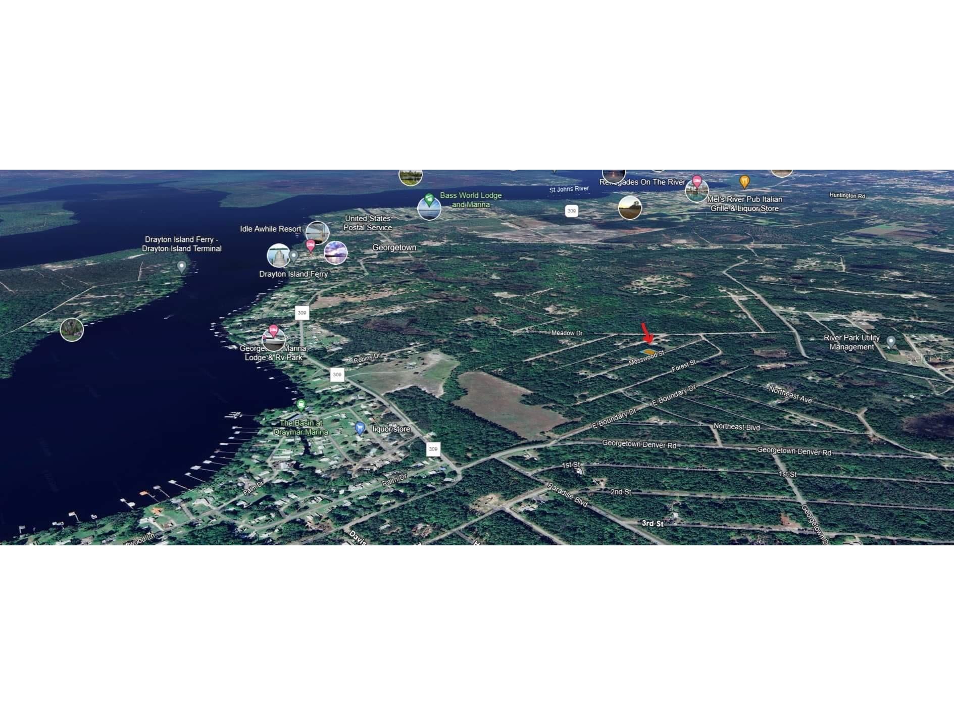 119 & 121 Mosswood Street Georgetown FL 32139 W7868337 image1