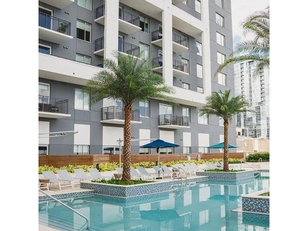 119-2 E Pine Street Orlando FL 32801 O6387175 image28