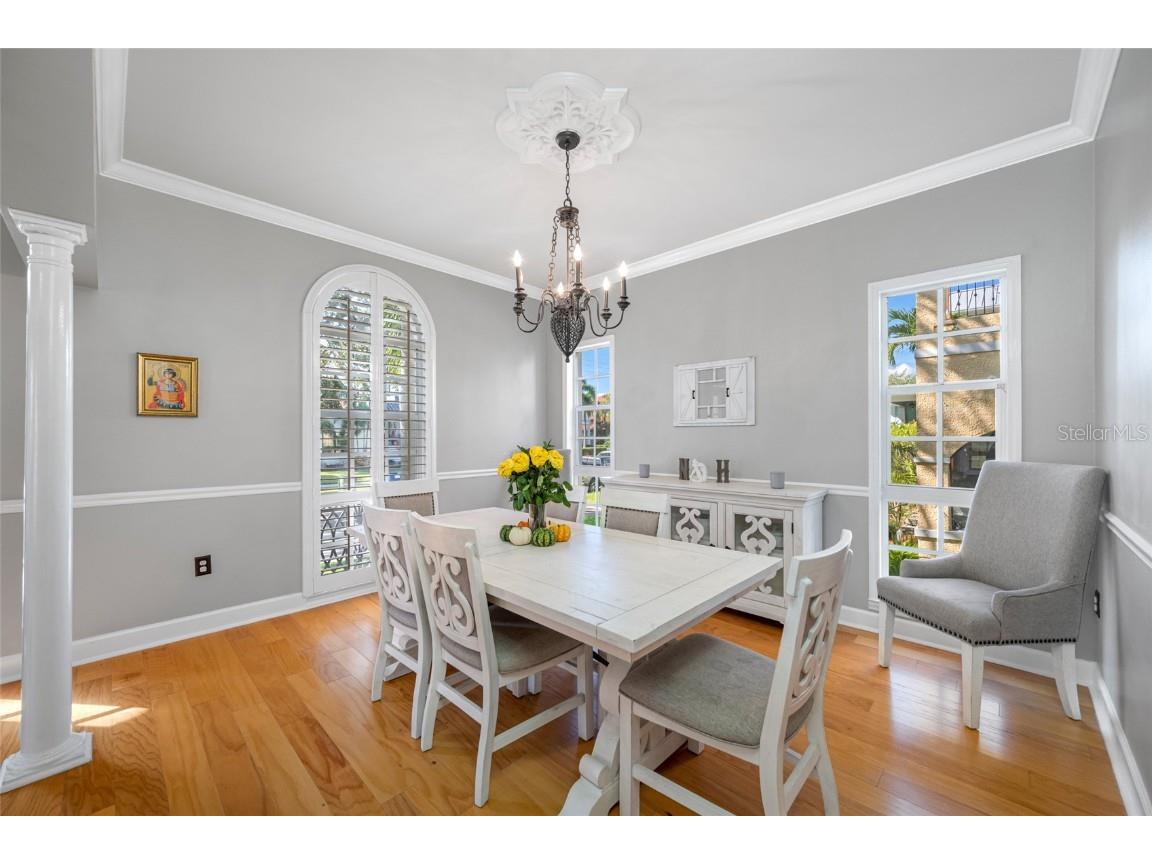 119 Adalia Avenue Tampa FL 33606 TB8432766 image14