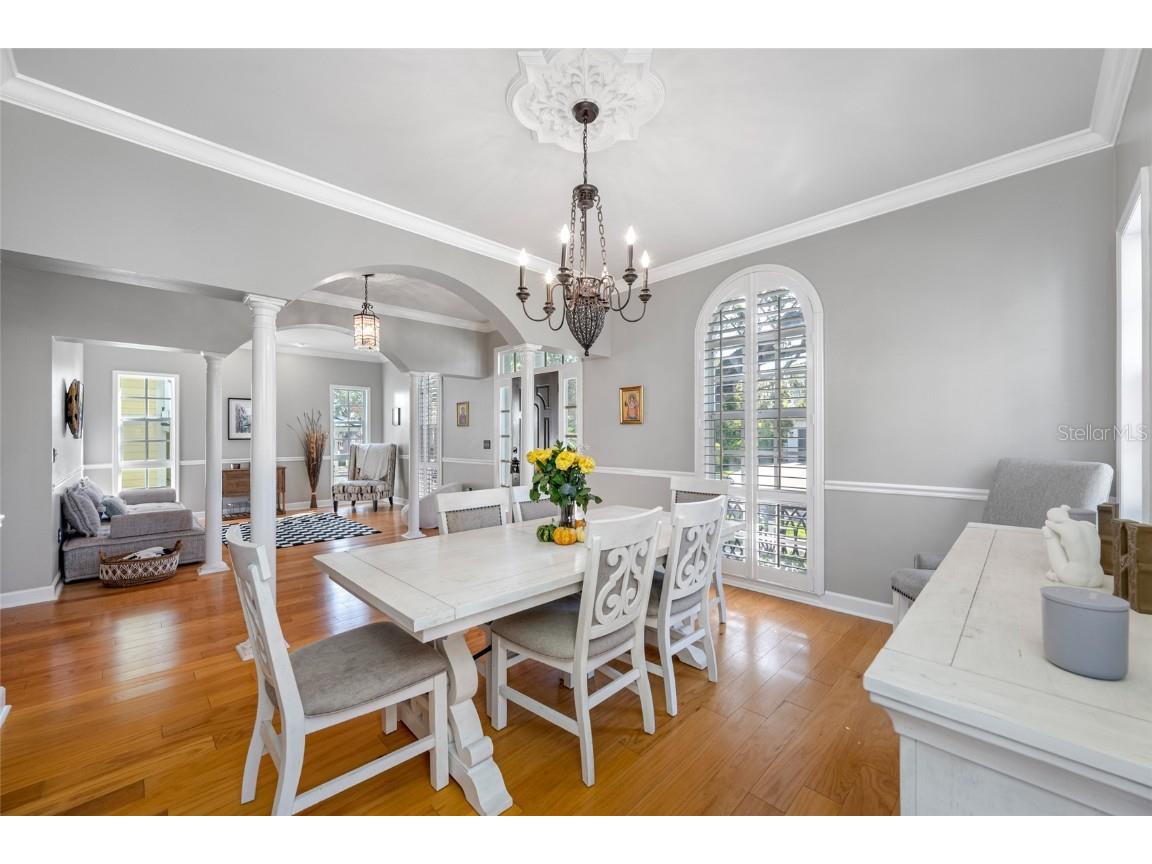 119 Adalia Avenue Tampa FL 33606 TB8432766 image15