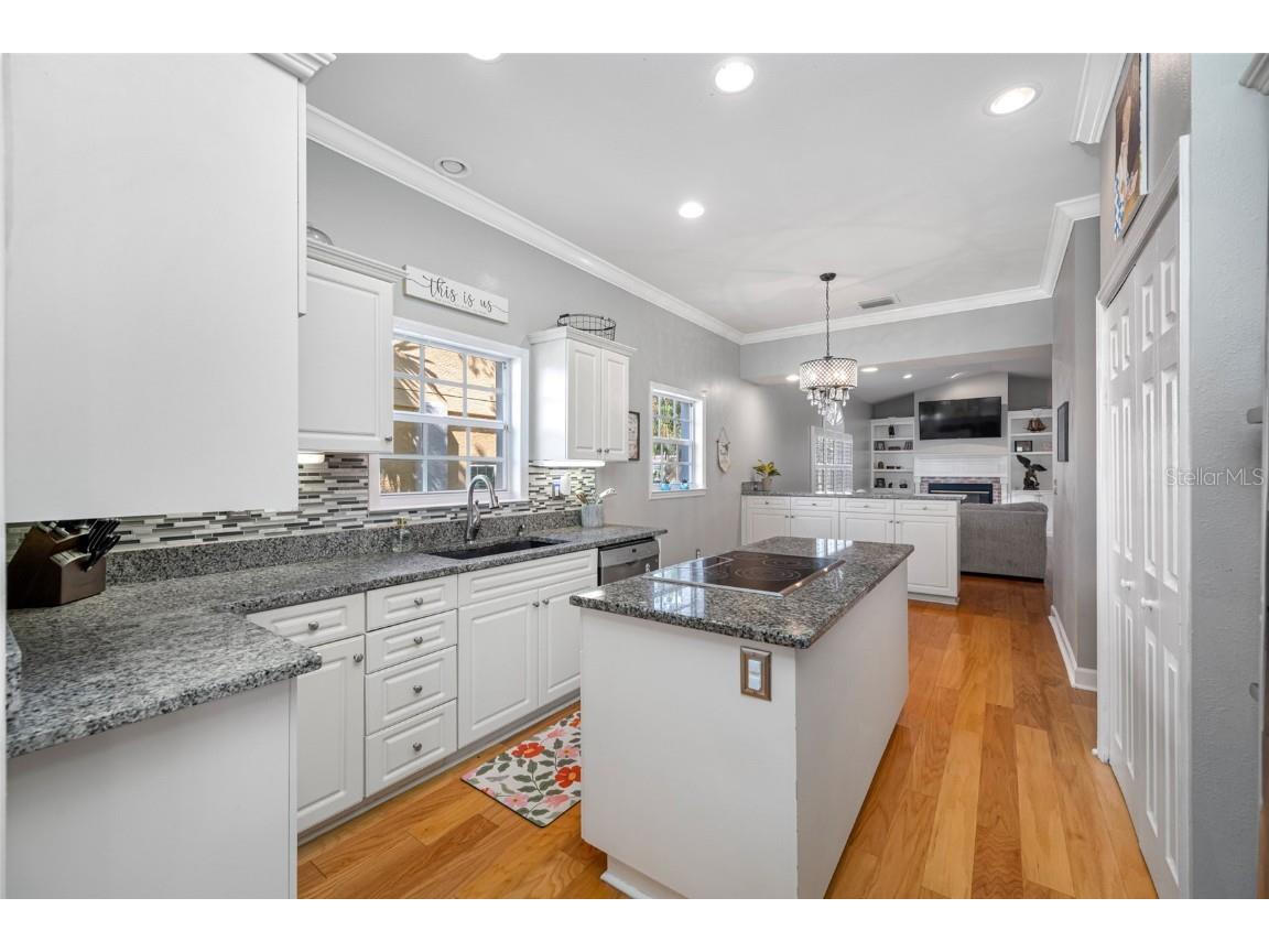 119 Adalia Avenue Tampa FL 33606 TB8432766 image17