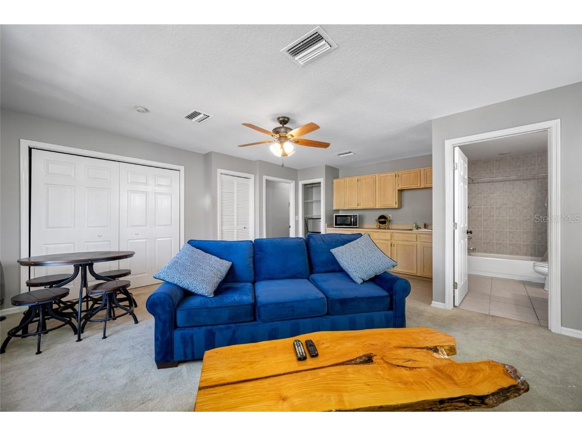 119 Adalia Avenue Tampa FL 33606 TB8432766 image58