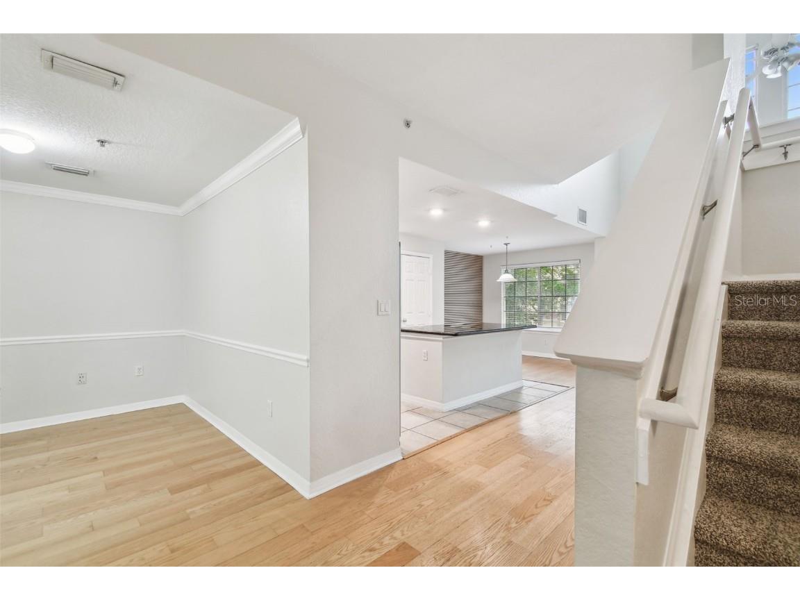 119 Beach Haven Lane Tampa FL 33609 TB8453418 image12